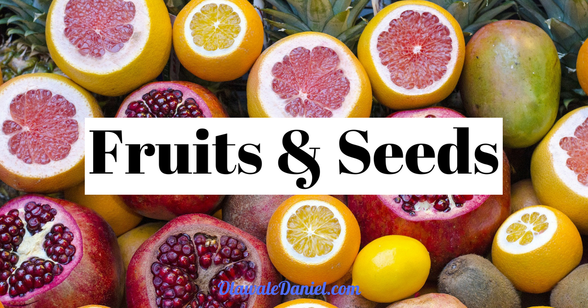 Seeds and Fruits – Start the Change You Seek with Yourself